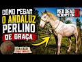Como Pegar O Cavalo Mais Corajoso do Jogo (Andaluz Perlino) - Red Dead Redemption 2
