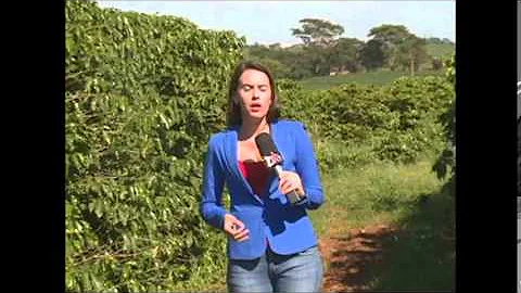 Como Agricultura pode colaborar com a seca?