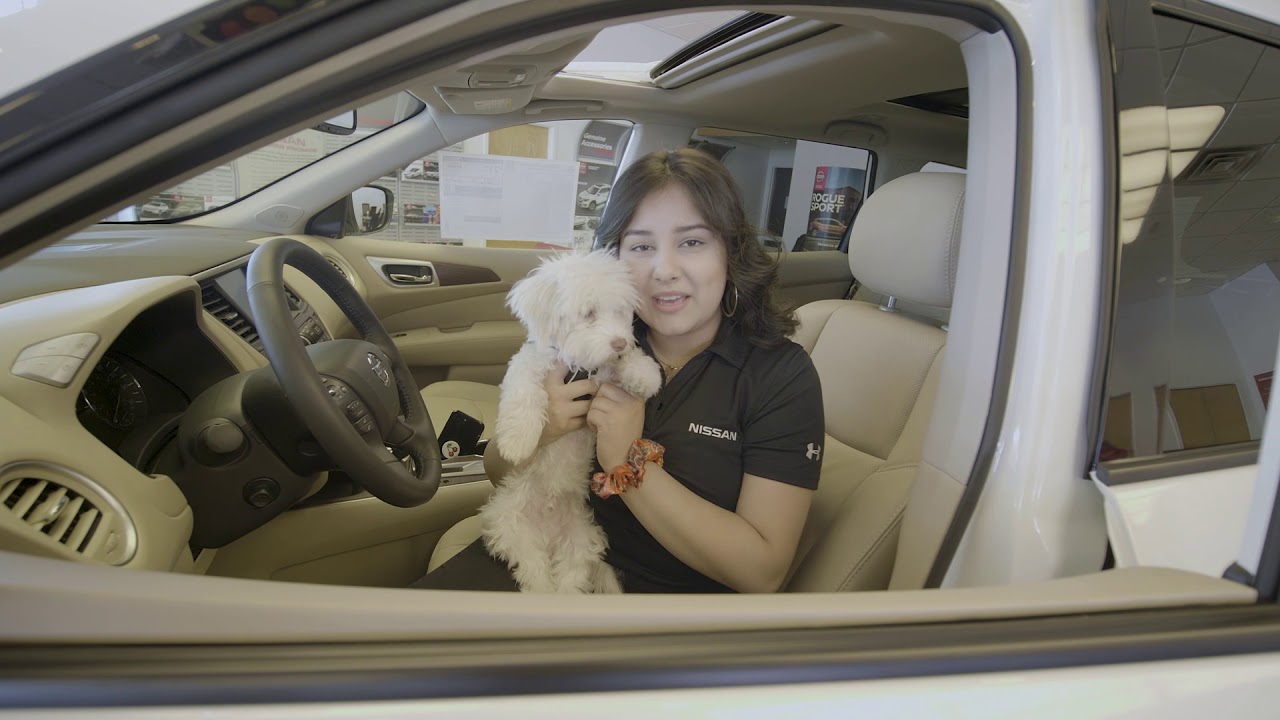 Patrón en Anderson Nissan en Rockford, IL YouTube