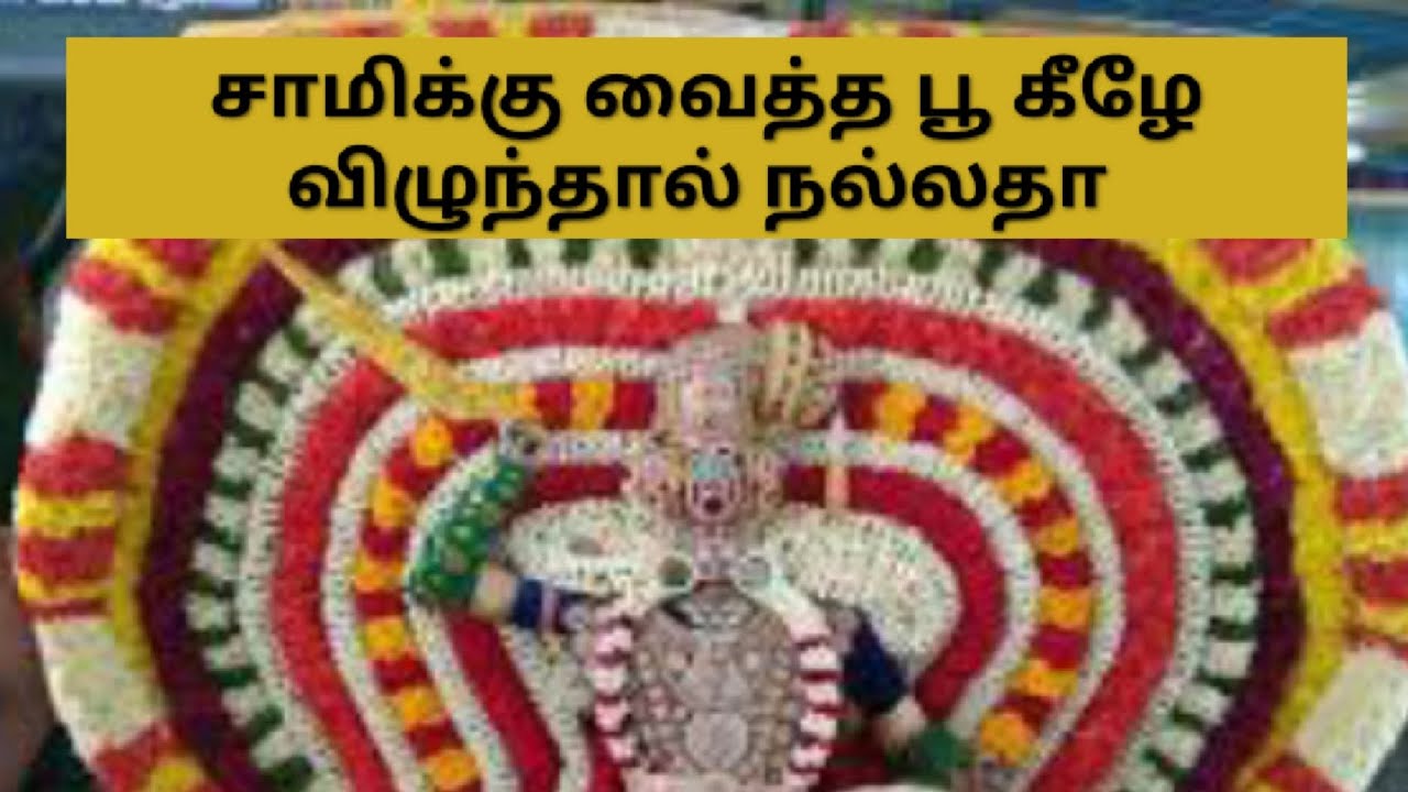 சாமிக்கு வைத்த பூ கீழே விழுந்தால் நல்லதா l Is it good if the flower given to Sami falls down