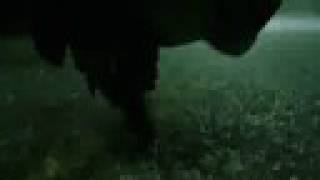 Sum 41 - Neo VS Smith