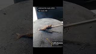 Kabbalamma Fish Meals | Unlimited Fish Meals @ ₹500 | Best Seafood in Bangalore 🍤🐟
