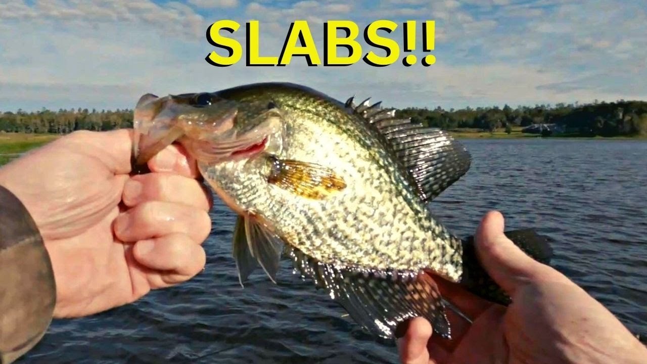 Catching SLAB CRAPPIE using a cane pole when this happened!! **GIVEAWAY