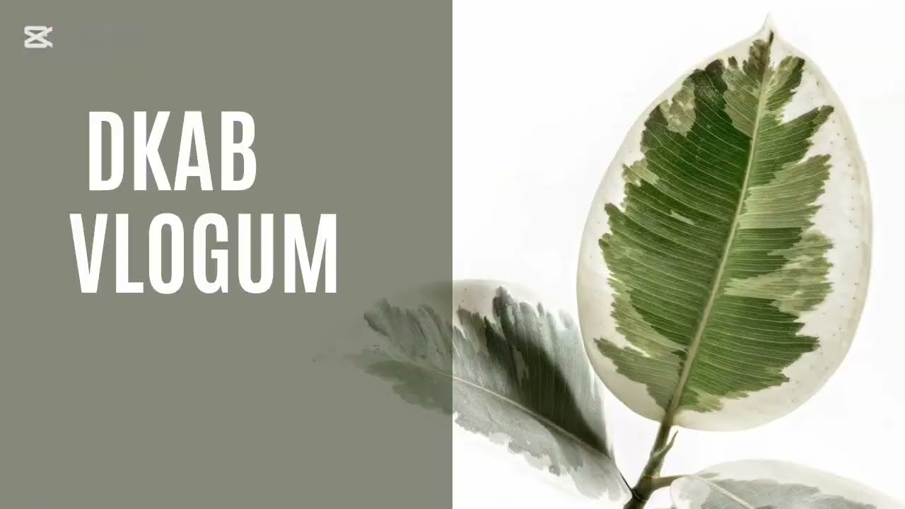 8 Saat 💅🏼 Verimli Bir Gün 🔥Ags Çalışıyorum 🔥