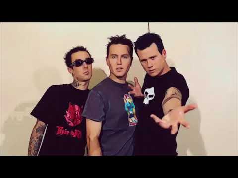 Blink 182- Please Take Me Home