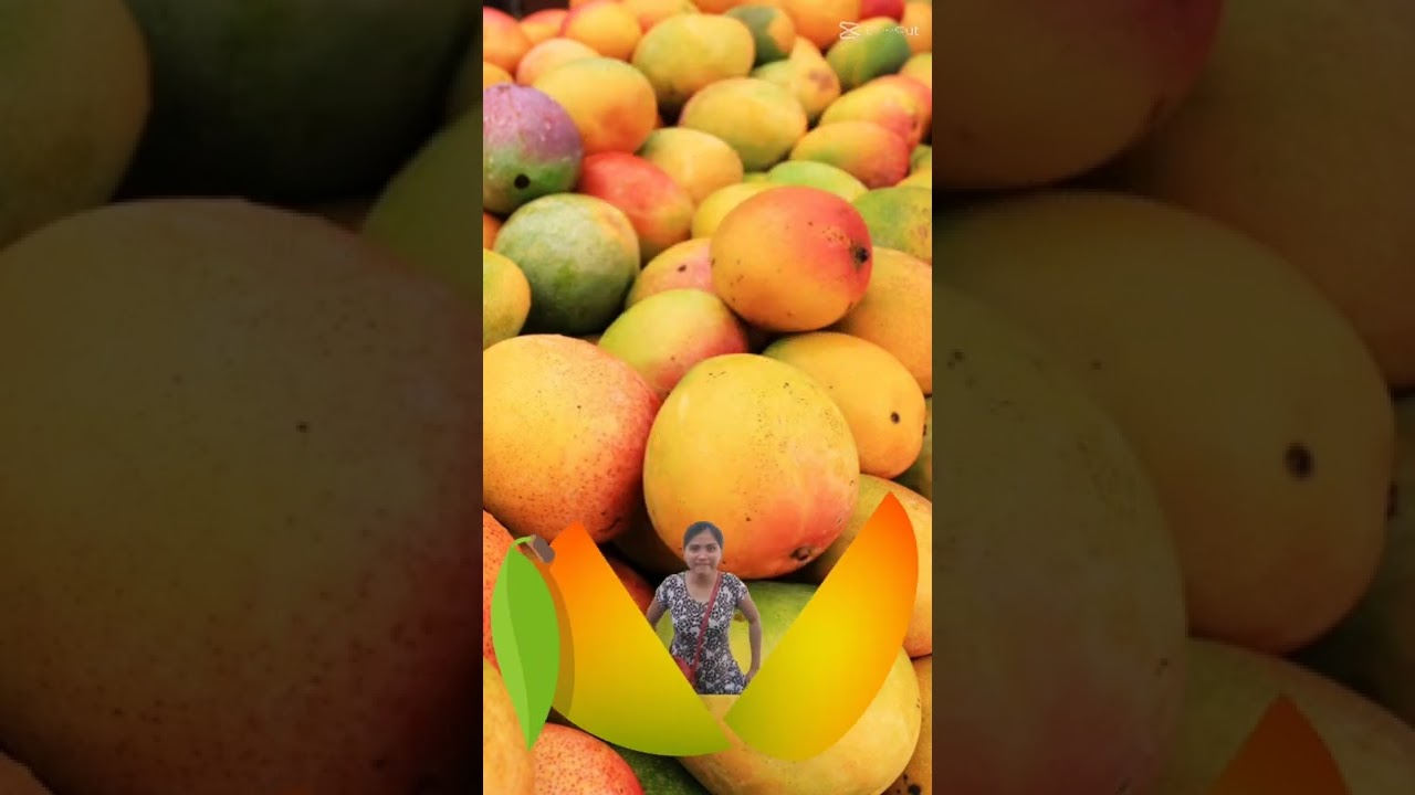 Mango 