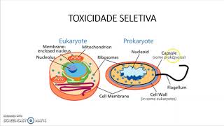 [Lecture 1] Mechanism of Action of Antimicrobials & Bacterial Resistance