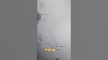 القرآن الكريم هو جنة، هو رفعة ، هو هداية، هو سبيل إسعاد ودربُ أمان اللهم اجعل القرآن ربيع قلوبنا
