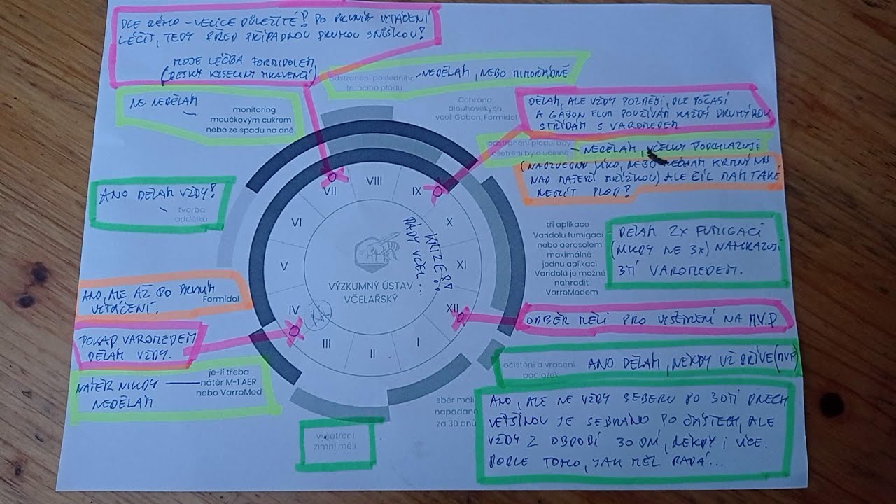 Celoroční léčba včel. Jak léčím celoročně včelky?