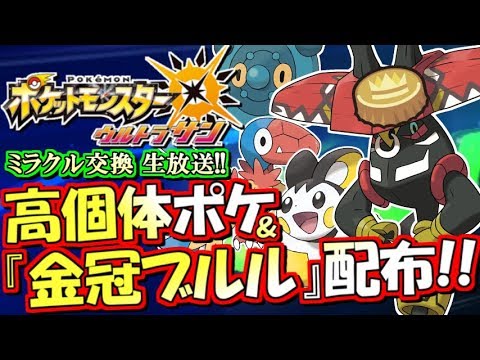 ポケモンusum 金冠カプ ブルルプレゼント 過去産大量配布 ミラクル交換生放送 15 ポケモンウルトラサンムーン Youtube