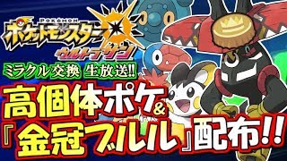 ポケモンusum 金冠カプ ブルルプレゼント 過去産大量配布 ミラクル交換生放送 15 ポケモンウルトラサンムーン Youtube