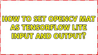 How to set OpenCV Mat as Tensorflow Lite input and output?