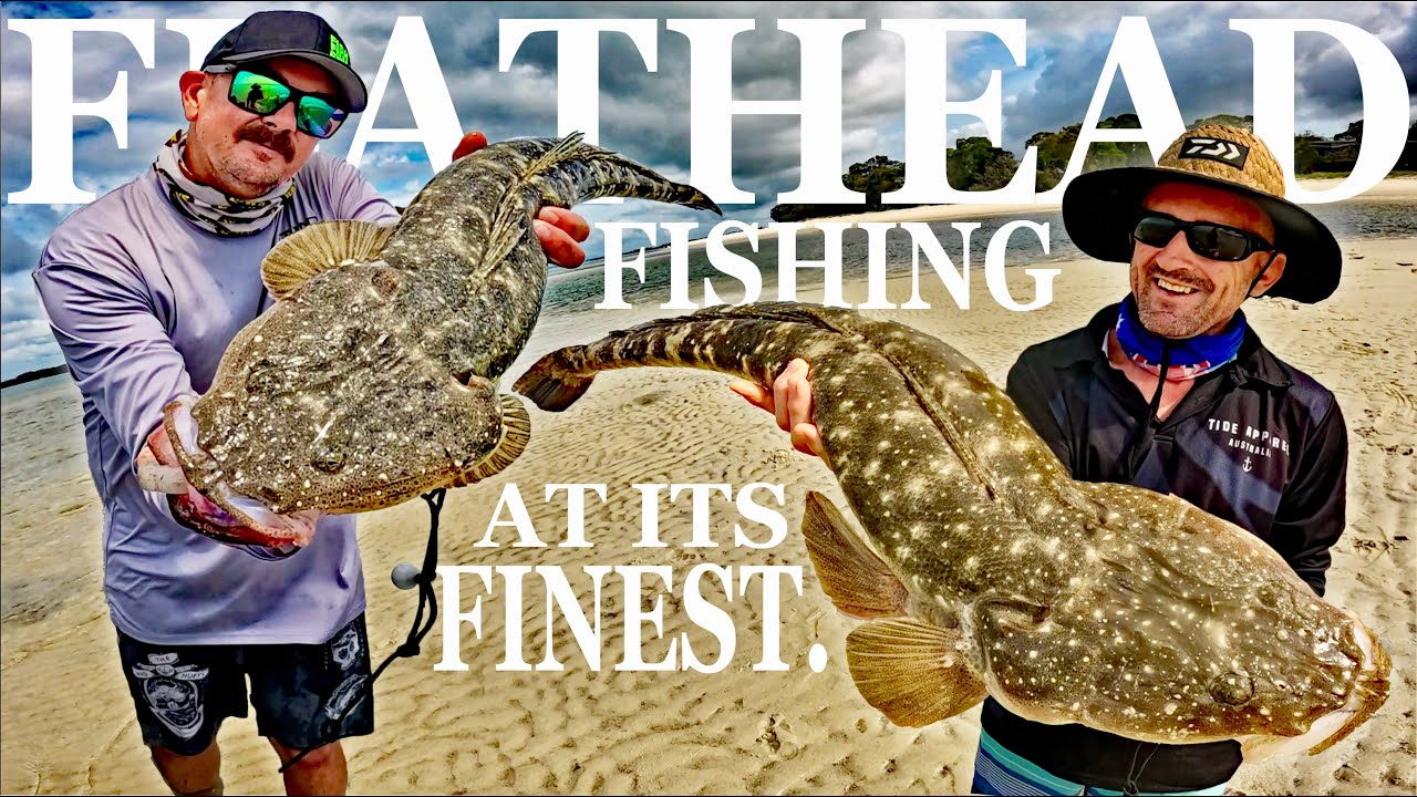 FLATHEAD FISHING | Live Bait Technique.