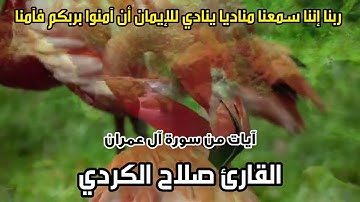 القارئ صلاح الكردي آيات من سورة آل عمران