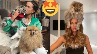 Funny Celebrity Pets | 😺🐶 Part 10: Favorite pets of Kate Beckinsale