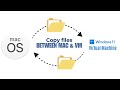 Copy files between Mac & Windows virtual machine on VMWare Fusion
