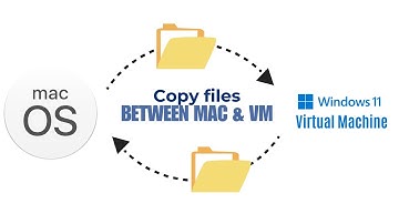 Copy files between Mac & Windows virtual machine on VMWare Fusion
