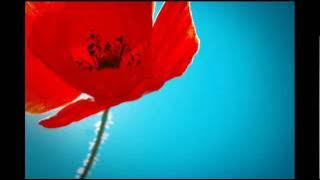 Tornike - Hidden Sound