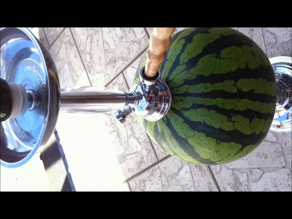 Shisha Fruit Contest #04