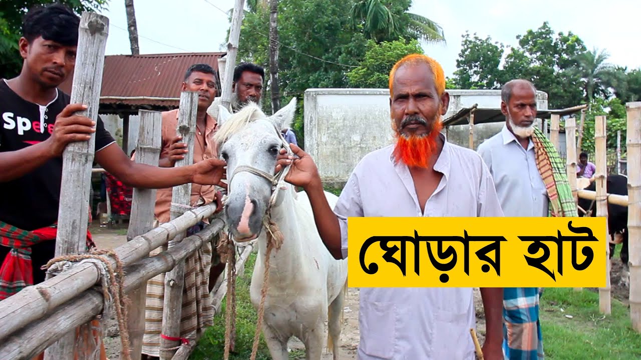 পাবনা অরনকোলা হাটে ঘোড়া বিক্রেতার সাক্ষাৎকার সহ ঘোড়ার দাম ও বিস্তারিত | Horse market in Bangladesh