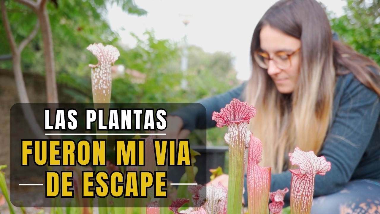 Cómo empecé con las plantas carnívoras