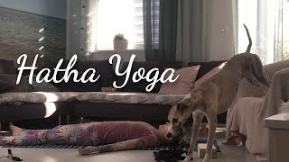 Spokojna hatha yoga cała lekcja screenshot 1