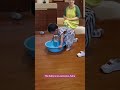 The baby is so awesome, haha./ 아기가 정말 대단해요 하하 😆