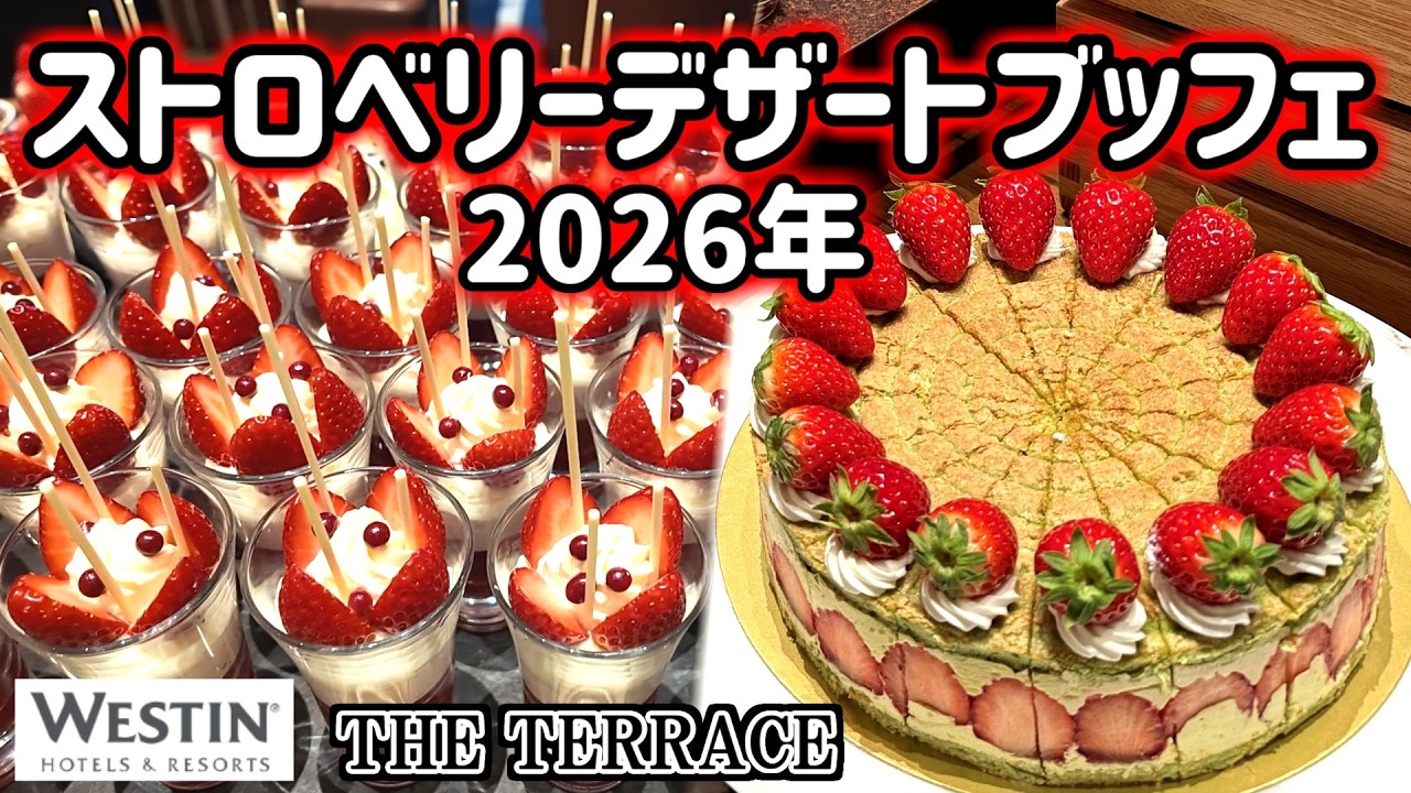 【食べ放題】ウェスティン東京「ザ・テラス」で苺スイーツ食べ放題！苺だらけのご褒美時間をストロベリービュッフェで満喫♪