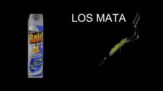 Raid Doble Acción 2008