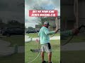 Early morning Reel mow