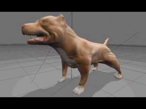 Pit Bull 3D Model
