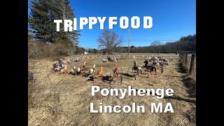 Road Trip: Ponyhenge, Lincoln MA #Ponyhenge #roadsideattraction #travel #NE #rockinghorse #roadtrip
