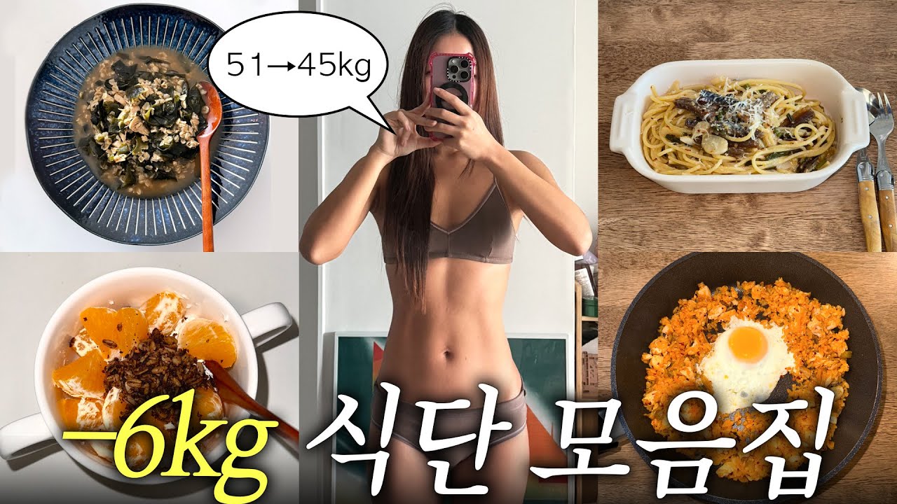-6kg 보통에서 마름가기 성공한!! 다이어트 식단 브이로그🍎 존맛 레시피 다수 공개....🤤