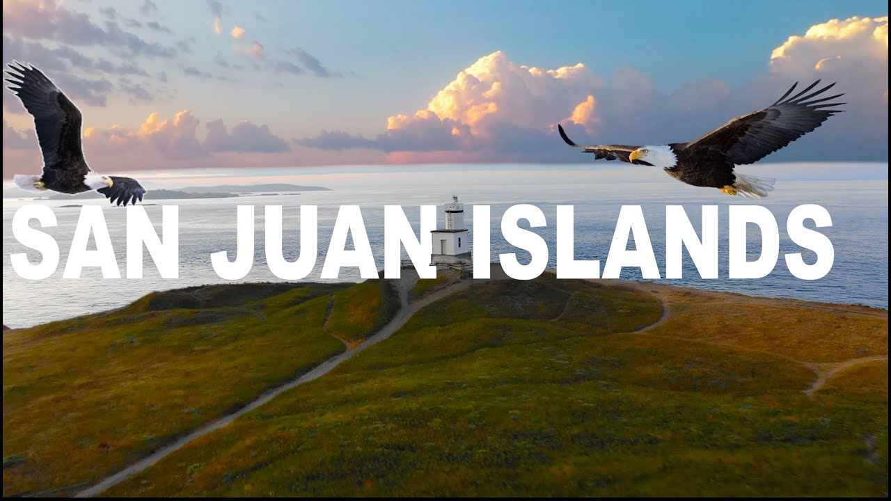 San Juan Island Travel Guide: Top Things To See And Do