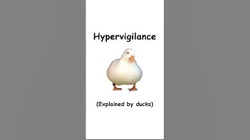 Hypervigilance (explained by ducks)