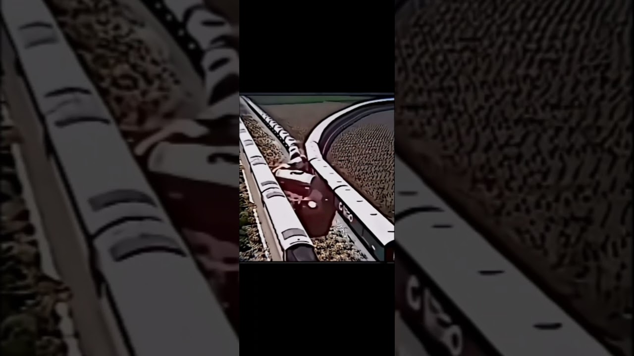 The Train's Dance Moves 😌