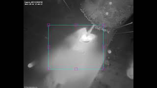 Detecting Weld Defects with Xiris AI Object Detection — Burn-Through in Real Time Wealth