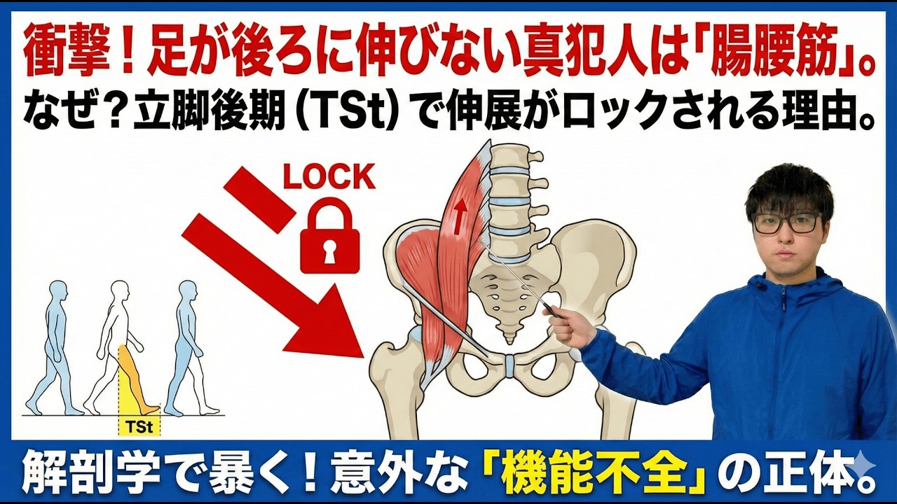 【歩行分析】なぜ足が後ろに伸びないのか？立脚後期（TSt）を阻害する「腸腰筋」の機能不全と伸展制限