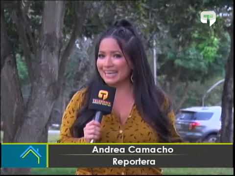 Alerta por aparición de grillos en junio en Guayaquil