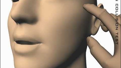 Dynamic Skin Model for Muscle Based Face Animation: Skin Demo