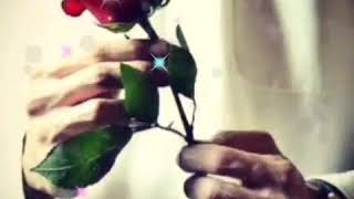 Whatsapp Ucun Durumwhatsapp Ucun Status Videosu