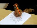 Pencil Drawing | Drawing | Drawing Pictures | Drawing Videos | flower drawing