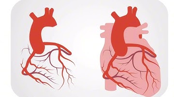 Siêu âm tim bệnh tim thiếu máu cục bộ, nhồi máu cơ tim - Ts.Bs Đào Thị Thanh Bình