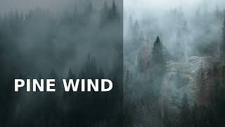Wind Through Pine Trees for Sleep | Soft Forest Breeze | 32 Minutes screenshot 5