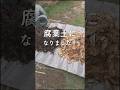 最短5週間でできる簡単腐葉土づくり！#超カルスncr
