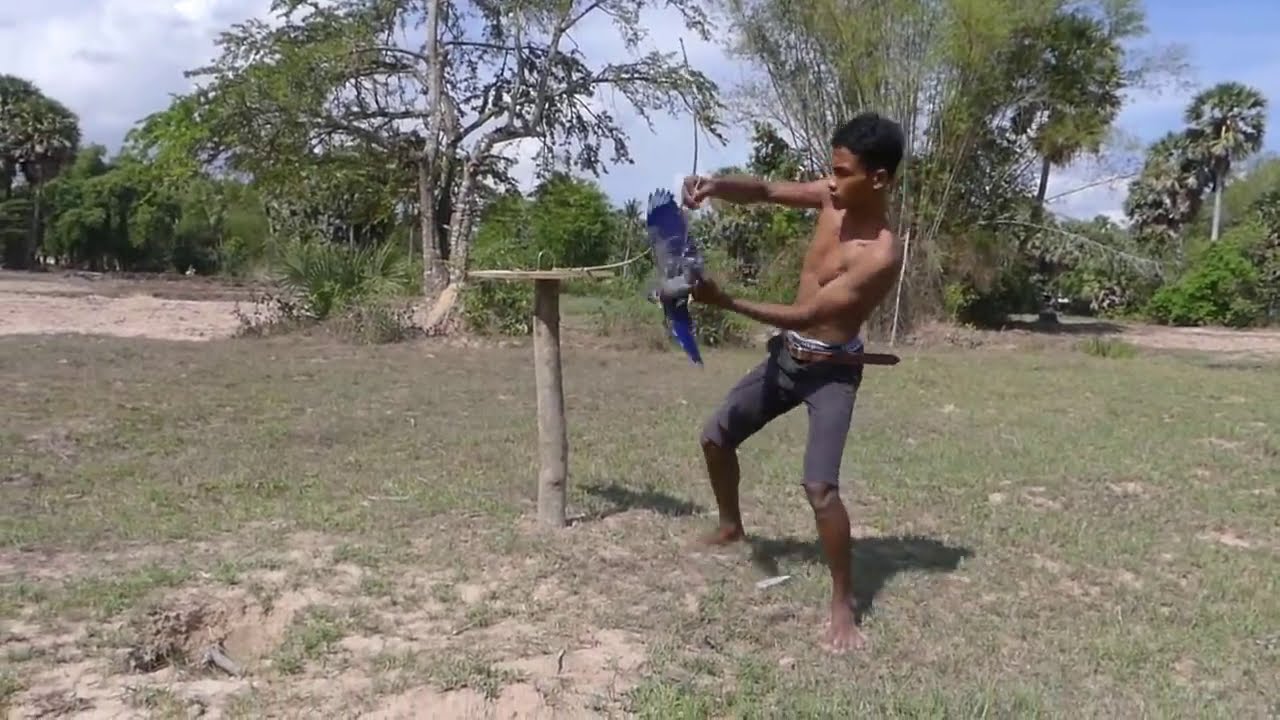 Building Easy Parrot Trap Make From Junior Hacksaw  - Technology Parrot Trap