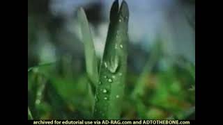 Stihl Multi-Cut Commercial (2002)