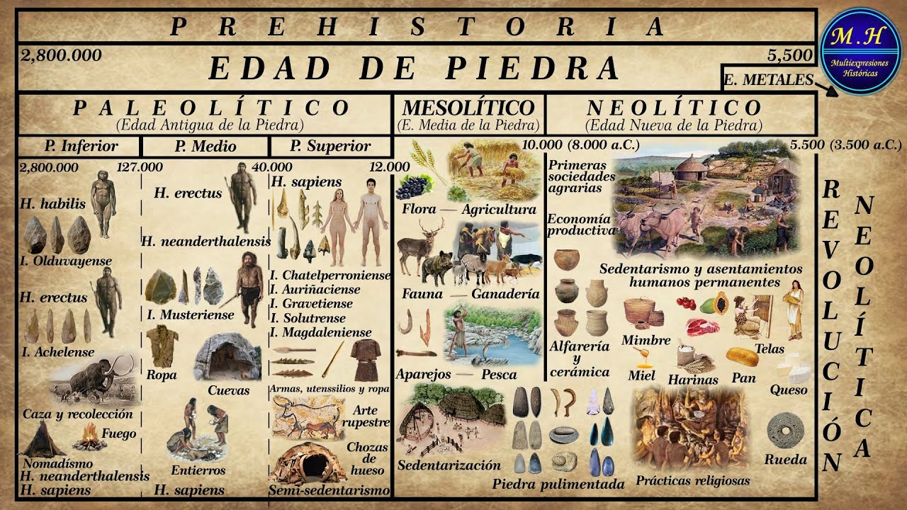 dolor de muelas oro Ejercicio Prehistoria. La Edad de Piedra. Paleolítico, Mesolítico y Neolítico -  YouTube