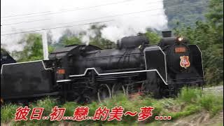 Download lagu 男性的苦戀(蔡小虎).mp4