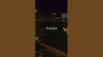 سعد الغامدي - سورة النساء صوت تقشعر منه الجلود